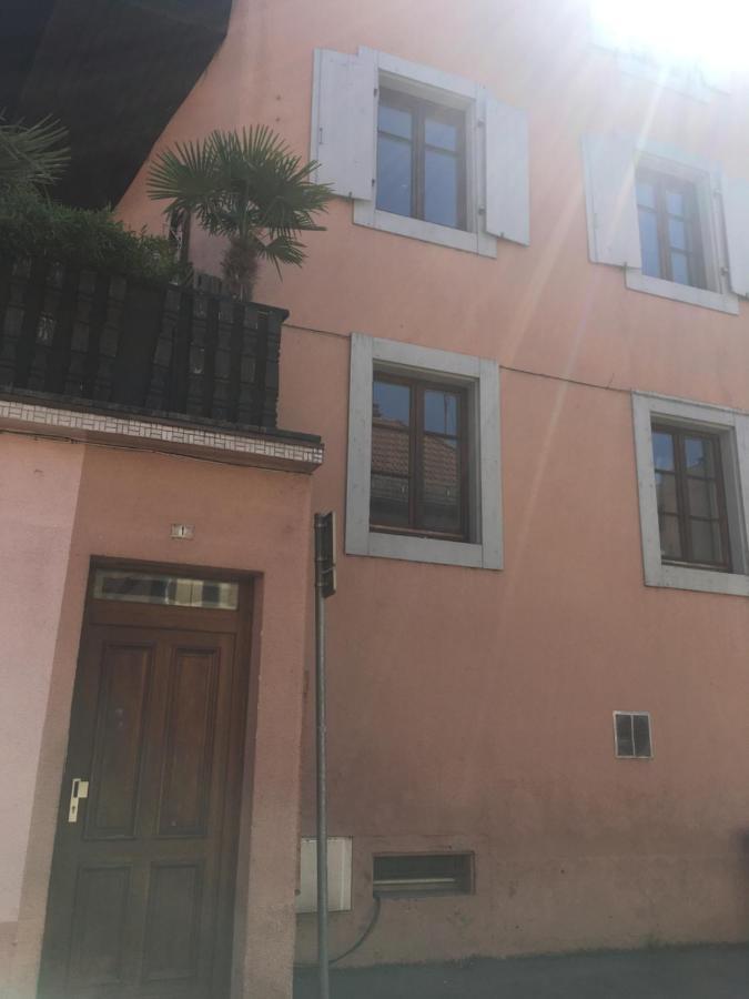 Le Gite 7 - Les Chateaux D'Ottrott Sélestat Esterno foto